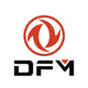 DFM